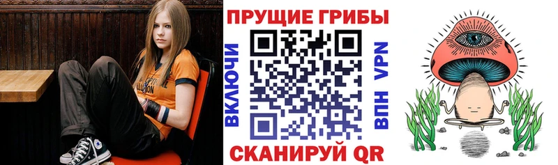 Псилоцибиновые грибы Magic Shrooms  где купить наркоту  Верхнеуральск 